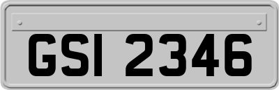 GSI2346