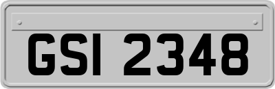 GSI2348