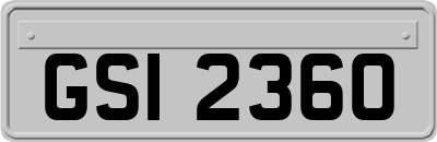 GSI2360