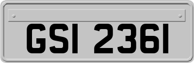GSI2361