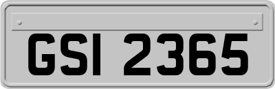 GSI2365