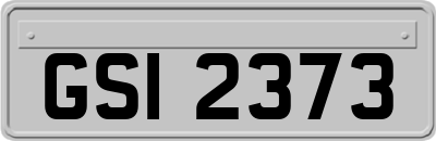 GSI2373