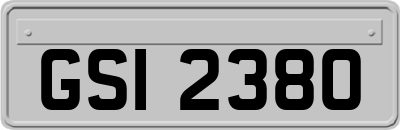 GSI2380