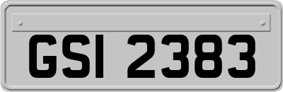 GSI2383