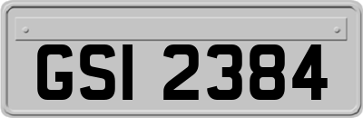 GSI2384