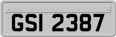 GSI2387