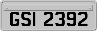GSI2392