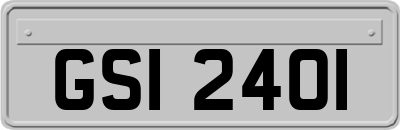GSI2401