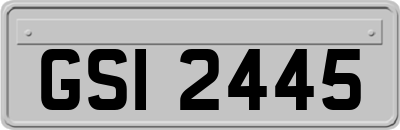 GSI2445