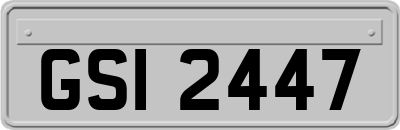 GSI2447