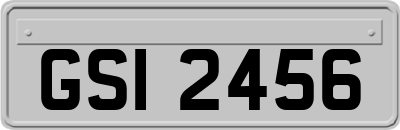 GSI2456