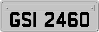 GSI2460