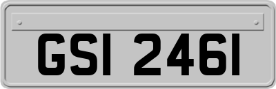 GSI2461