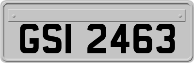 GSI2463