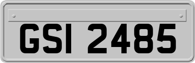 GSI2485
