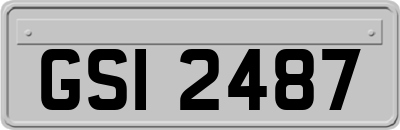 GSI2487