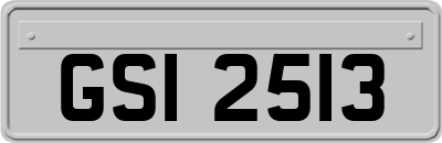 GSI2513