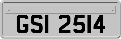 GSI2514