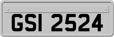 GSI2524