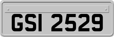 GSI2529
