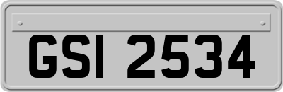 GSI2534