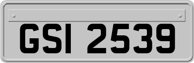 GSI2539