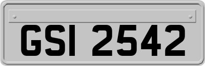 GSI2542