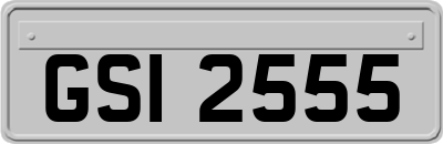 GSI2555