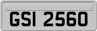 GSI2560