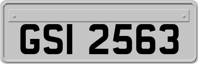 GSI2563