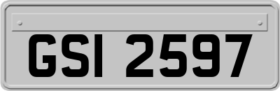 GSI2597
