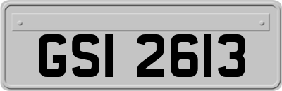GSI2613