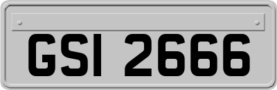 GSI2666
