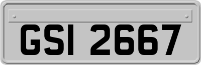 GSI2667