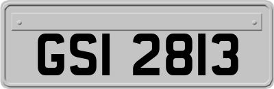 GSI2813