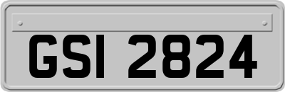 GSI2824