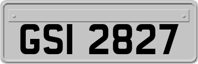 GSI2827