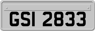 GSI2833