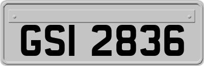 GSI2836