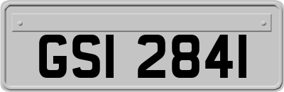GSI2841