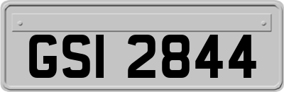 GSI2844