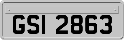 GSI2863