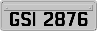 GSI2876