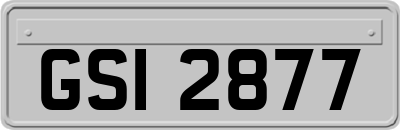 GSI2877