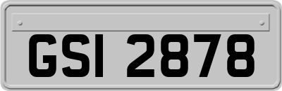 GSI2878