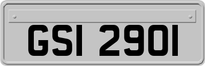 GSI2901
