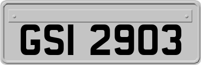 GSI2903