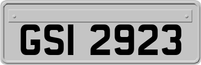 GSI2923