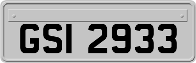 GSI2933