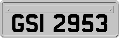 GSI2953
